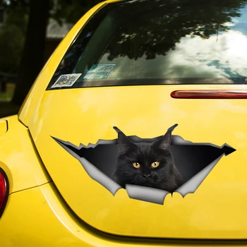 블랙 메인 Coon 고양이 자기 접착제 데칼 자동차 스티커를 방수 자동 실내 장식에서 풍부한 뒤 창 노트북 크기를 선택#S60435
