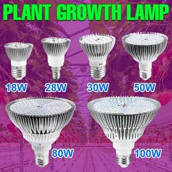 220V 성장 주도 전구 전체 스펙트럼 공장 빛 E27 식물 램프 E14Fitolamp 온실 수경 꽃 모종 Phytolamp