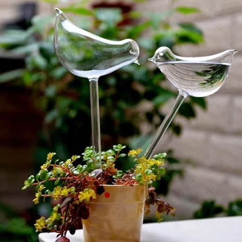 5 형 유리 꽃 물 공급 장치 자동자 장치에 물을 조류 스타 버섯 달팽이 플라워 디자인 식물 Waterer