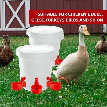 닭고기를 마시는 컵 자동 술꾼이 치킨 공급 장치 플라스틱 가금류 Waterer 마시는 물 공급에 대한 오리 새끼 거위 메추라기