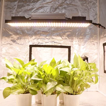 삼성 LM301H V5 양 기술 LED 성장 빛 240W480W720W 전체 스펙트럼 피토 램프 실내 식물을 위한 수경 Veg 꽃