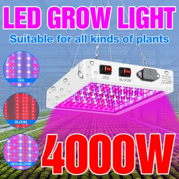 4000W5000W220V 실내 조명 공장 램프 빛을 성장 주도 LED 위원회 Hydroponic LED 는 꽃 묘목구 온실 Bombilla